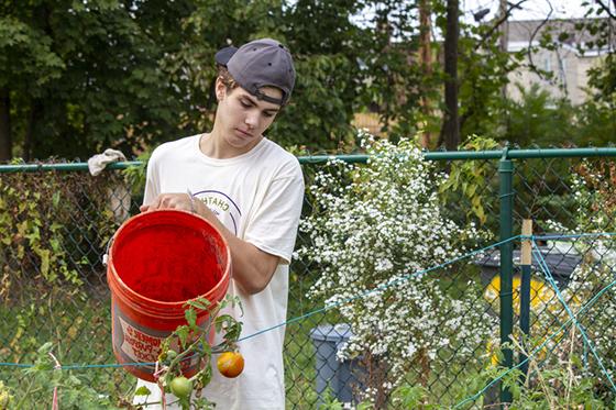 图为一名波胆网站的男学生在花园里干活